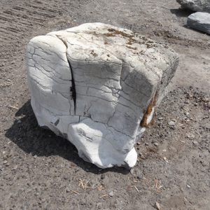  Elephant stone