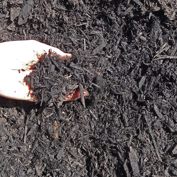 Enhanced Black Bark Mulch Ottawa Greely Sand & Gravel