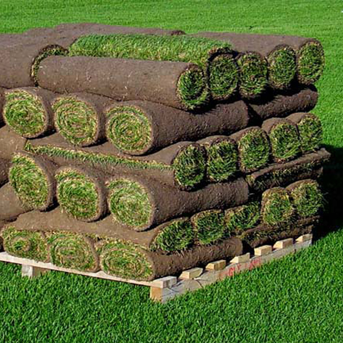 how many square feet does a skid of sod cover