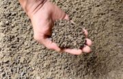 Salt and Sand Mix in hand