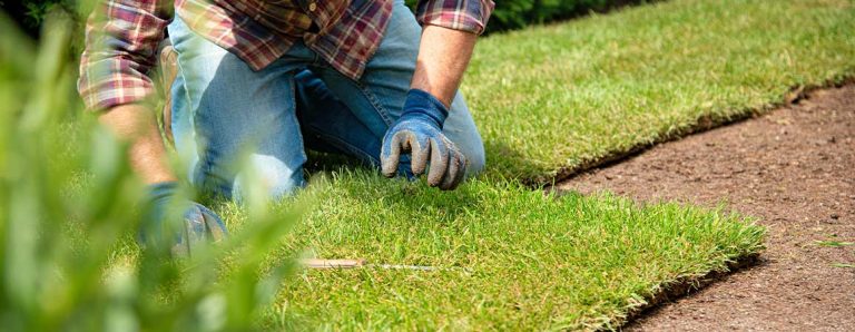 Starting a New Lawn | Greely Sand & Gravel Inc.