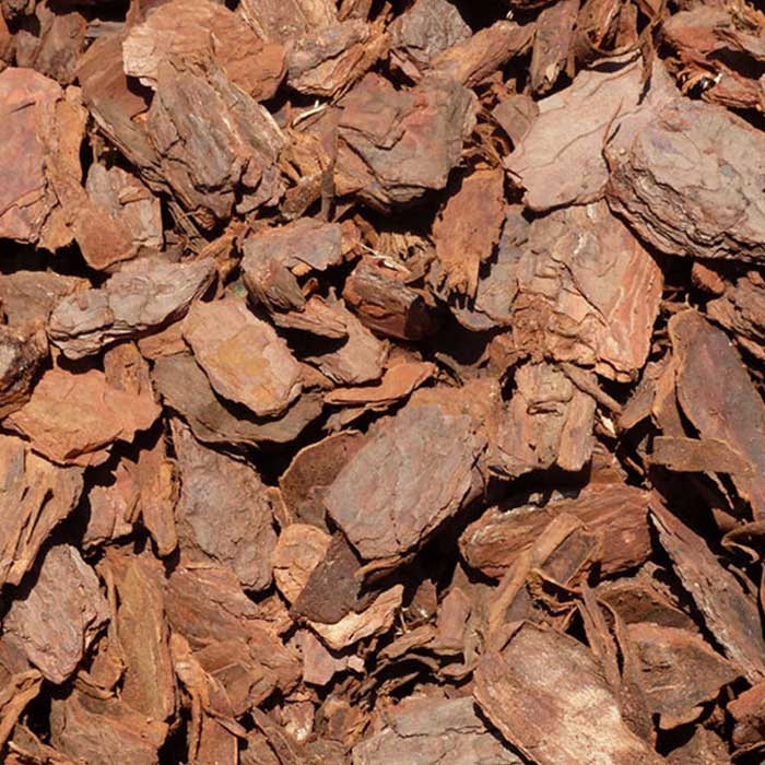 Image of Bark Nuggets