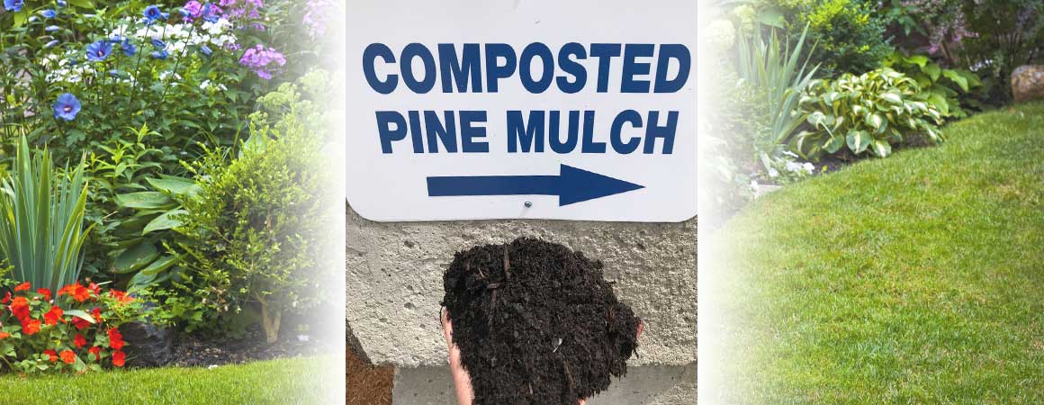 The Magic of Composted Pine Mulch