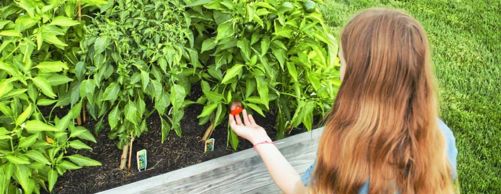 Gardening season is here and now that the days are so much warmer, it is a great time to get your garden ready for planting! Even if you don’t live on a large property or in a rural area, you can still enjoy all the pleasures and benefits of gardening.