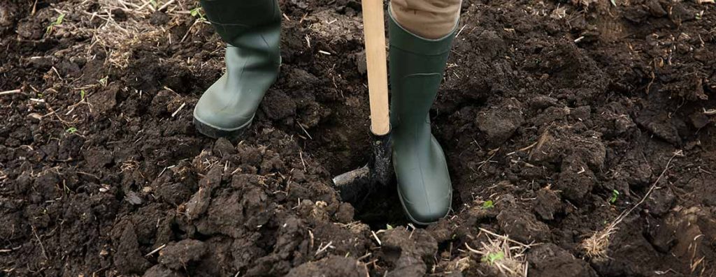 If your yard is mostly clay, there are ways that you can help change the composition of the soil, making it more hospitable to plant growth.