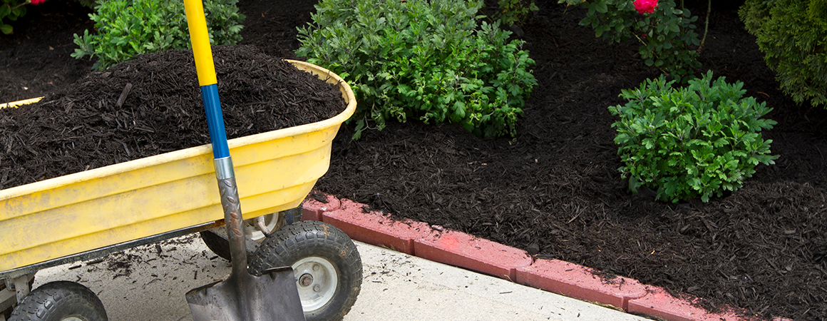 What Is Mulch