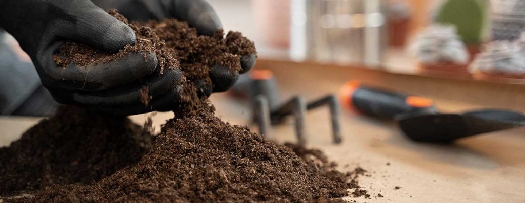 Wondering when topsoil is ready in Ottawa? Learn when spring soil becomes available, what affects timing, and how to plan your landscaping project.
