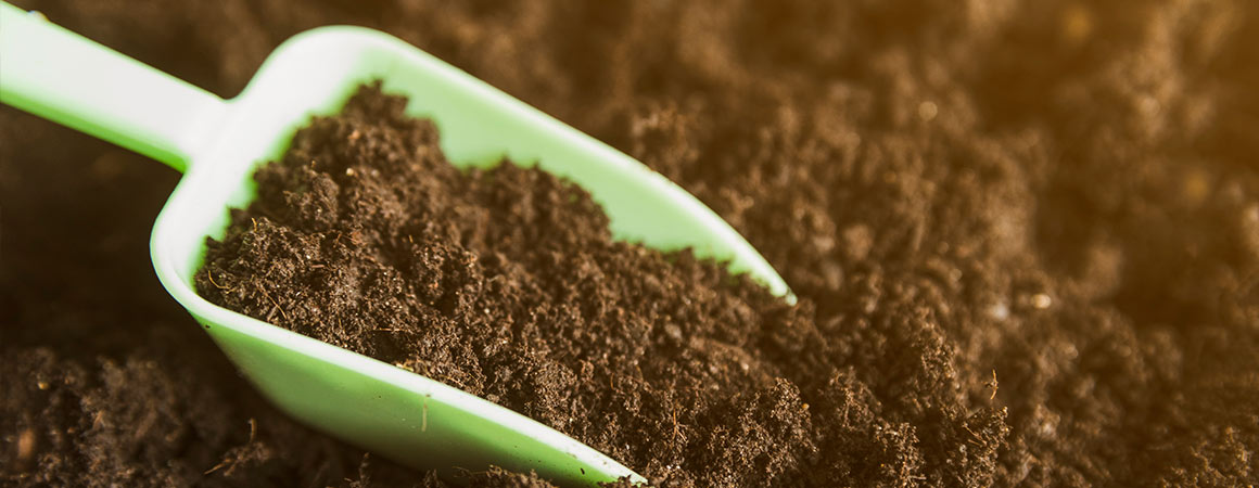 If your lawn refuses to fill in, dries out too fast, or looks uneven no matter how often you seed and water, the issue usually sits below the surface.