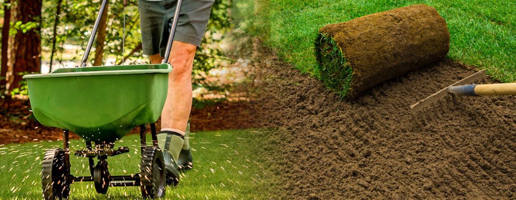 Applying too much soil is the biggest one. Anything over about half an inch can smother your existing grass instead of helping it grow through. Topdressing should improve the lawn, not bury it.